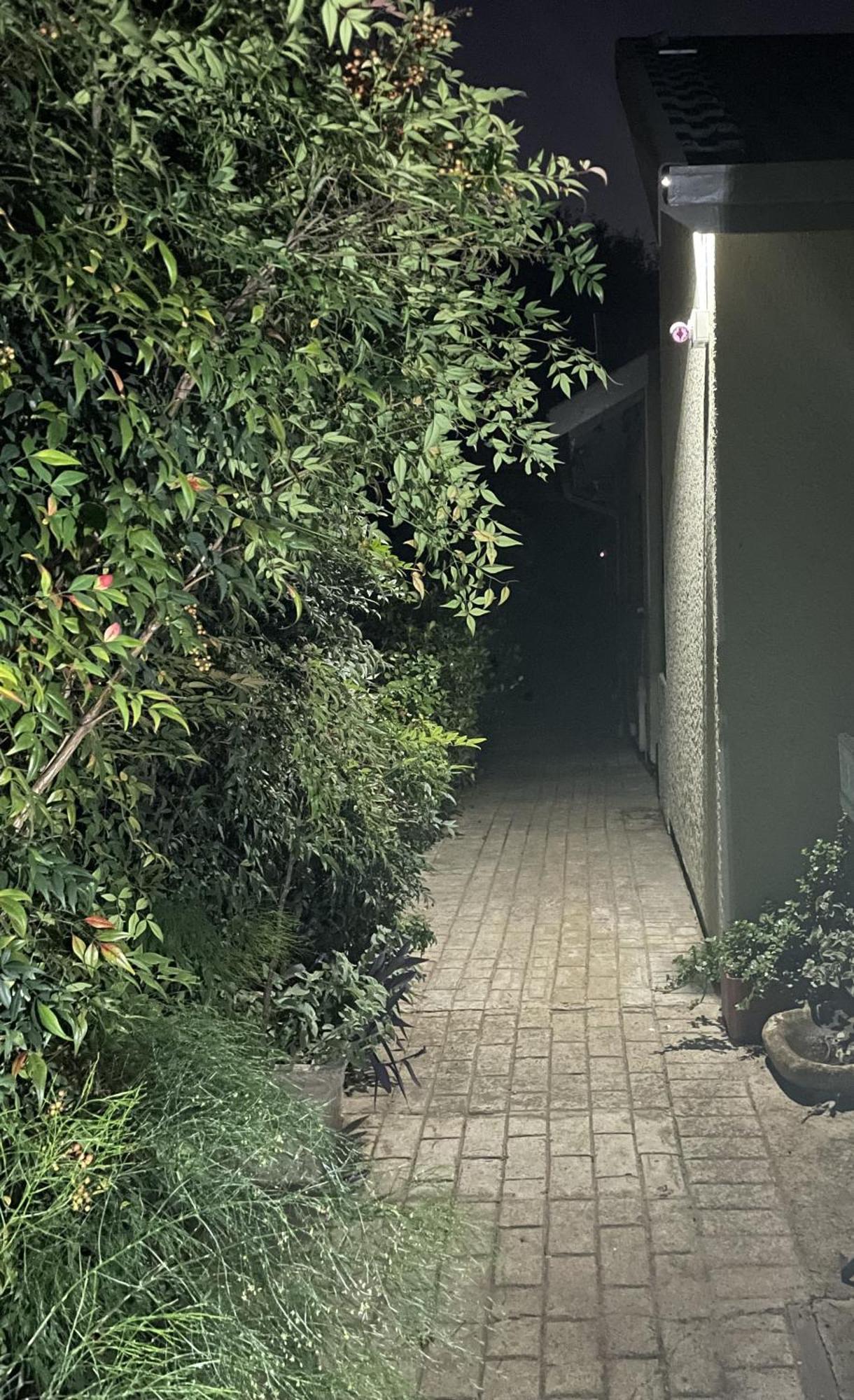 Celtis Lane Guest House 복스버그 외부 사진