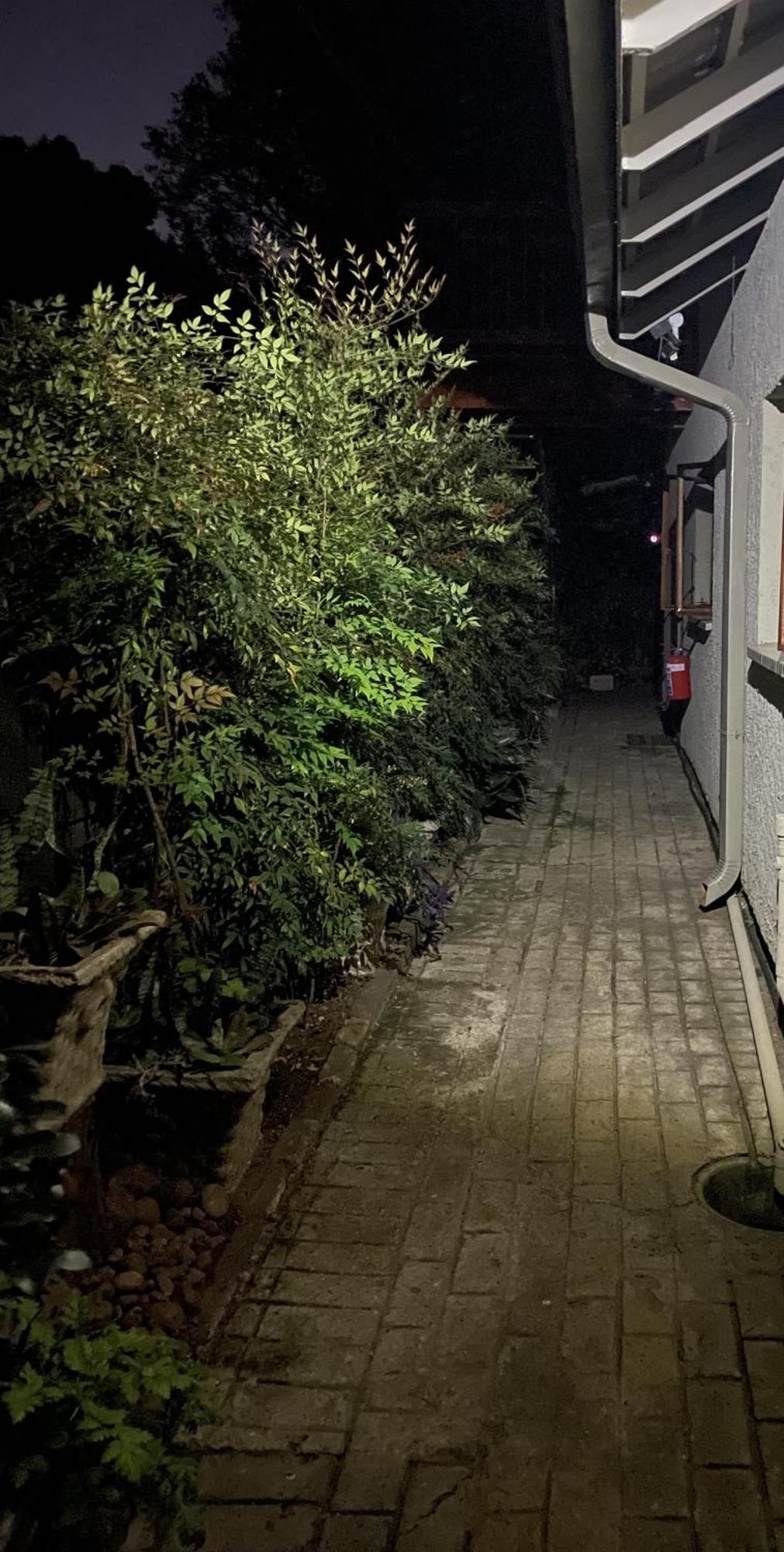 Celtis Lane Guest House 복스버그 외부 사진